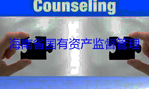 理委员会党资产监督管委副书记王查调查海南省国有有福接受审
